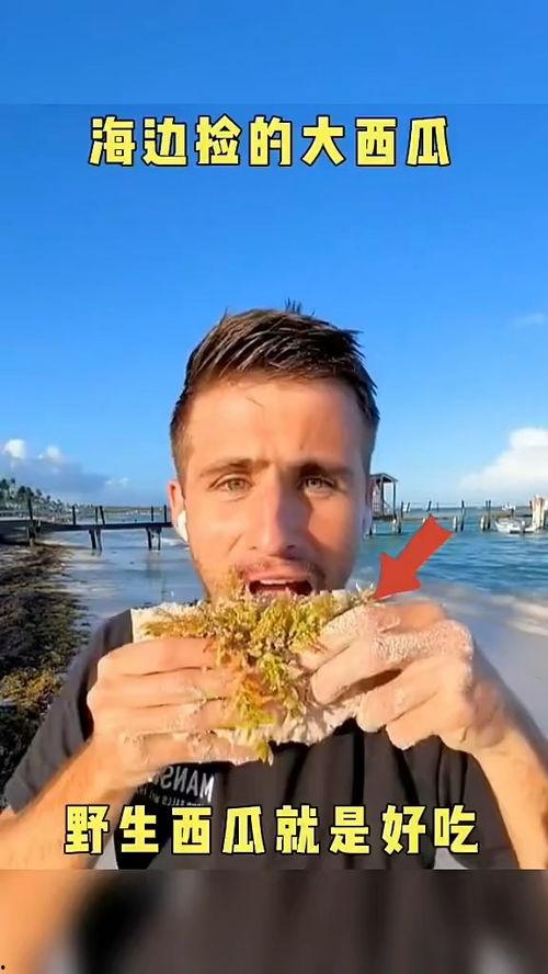 娱乐吃瓜配音视频大全最新,笑料百出，精彩纷呈！